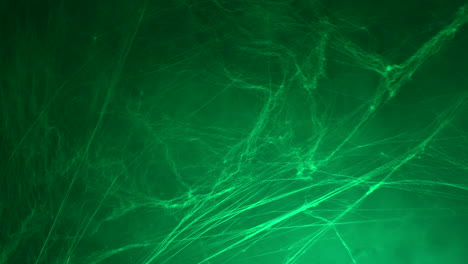 Halloween-spooky-green-spider-web-in-the-dark-and-fog-smoke