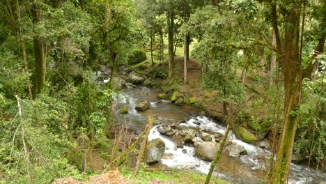 Fließender-Fluss-Aus-Einem-Hohen-Winkel-Im-Wald-In-Costa-Rica
