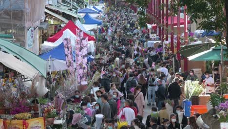 Hunderte-Von-Menschen-Kaufen-Vor-Dem-Bevorstehenden-Chinesischen-Neujahrsfest-In-Hongkong-Typische-Festliche-Chinesische-Neujahrsblumen-Auf-Einem-überfüllten-Blumenmarkt