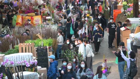 Chinesische-Kunden-Kaufen-Dekorative-Blumen-Und-Pflanzen-Zum-Thema-„Chinesisches-Neujahr“-An-Einem-Straßenstand-Auf-Dem-Blumenmarkt-Vor-Den-Feierlichkeiten-Zum-Chinesischen-Neujahrsfest-In-Hongkong