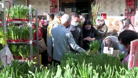 La-Gente-Compra-Plantas-De-Narciso-De-Agua-En-Un-Mercado-De-Flores-Durante-El-Año-Nuevo-Chino