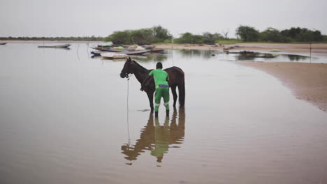 Regelmäßiges-Baden-Eines-Gezähmten-Pferdes-An-Einem-See-In-Senegal,-Afrika