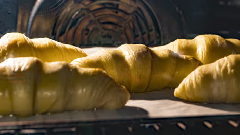 Baking-Croissant-Breads-In-The-Electric-Oven-For-Breakfast