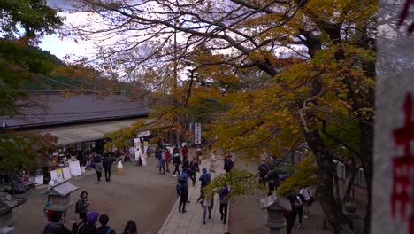 Reval-of-crowds-at-temple-grounds-with-autumn-colors-and-teahosue