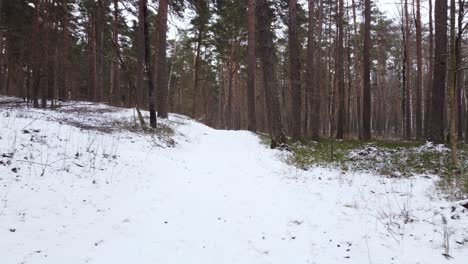 Reise-In-Den-Gefrorenen-Wald:-Drohnenaufnahmen-Des-Bikernieku-Waldes-Im-Verschneiten-Winter