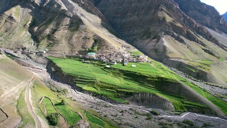 Tibetan-homes-surrounded-by-green-rice-fields-in-Mud-Village-of-Pin-Valley-India-on-sunny-day,-aerial
