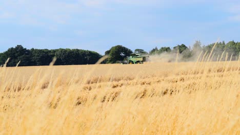 Wide-shot-of-a-combine-harvester-on-a-summers-day-with-crop-foreground-4K