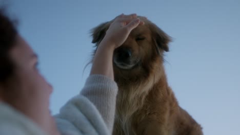 A-Cute-fluffy-dog-is-being-petted-by-a-young-women-in-her-20s