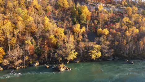 Niagara-glen-aerial-view-flying-over-fast-flowing-river-creek-and-colourful-autumn-golden-woodland-sunlit-trees,-Ontario-Canada