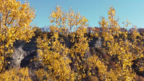 Luftaufnahme-Des-Killbear-Provinzparks,-Der-über-Farbenfrohe,-Goldene,-Sonnenbeschienene-Herbstbäume-In-Die-Vogelperspektive-über-Den-Schnell-Fließenden-Waldfluss-Fliegt