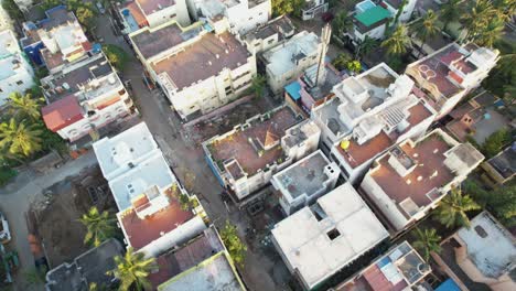 Aerial-view-of-birds-in-a-residential-area-flying-from-trees
