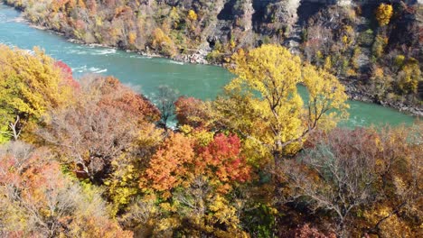 Breiter-Fluss,-Der-Durch-Einen-Farbenfrohen-Herbstwald-Mit-Gelbem,-Rotem-Und-Orangefarbenem-Laub-Fließt
