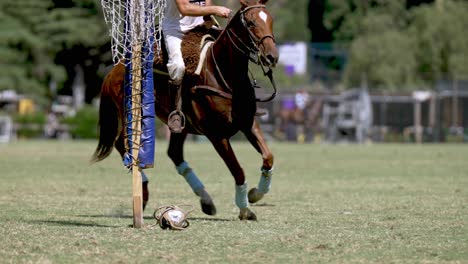 Man-demonstrated-a-beautiful-ramassage,-pick-up-the-ball-without-dismounting-from-the-horseback-while-the-horse-is-still-galloping,-shot-taken-right-next-to-the-hoop-during-the-game-of-pato-horseball