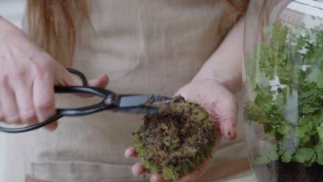 A-young-woman-creates-a-small-ecosystem-in-a-glass-terrarium---preparing-the-roots-of-the-moss---nature-preservation-concept---close-up