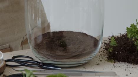 A-young-woman-creates-a-small-ecosystem-in-a-glass-terrarium---preparing-the-soil-for-planting---nature-preservation-concept---medium-shot