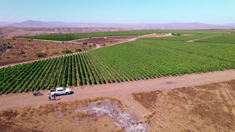 Aerial-rotating-shot-of-a-farmer-at-the-side-of-his-vineyard-in-the-Limari-Valley