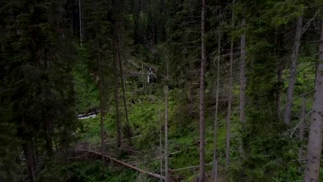 Luftflug-Zwischen-Dichten-Wäldern-In-Den-Dolomiten,-Italien