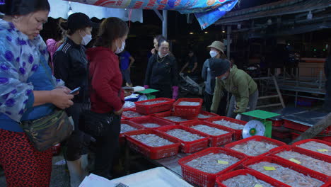 Fischer-Und-Käufer-Handeln-Am-Frühen-Morgen-Des-Größten-Fischereihafens-Von-Wuang-Mit-Frischen-Kleinen-Fischen,-Vietnam