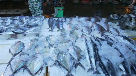 Display-of-fresh-fish-coated-with-ice-kept-for-trading-at-Tho-Quang-fishing-port-early-morning,-Vietnam