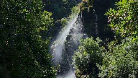 Kleiner-Wasserfall-Im-Grünen-Und-üppigen-Dschungel,-Der-Wie-Ein-Wald-Aussieht