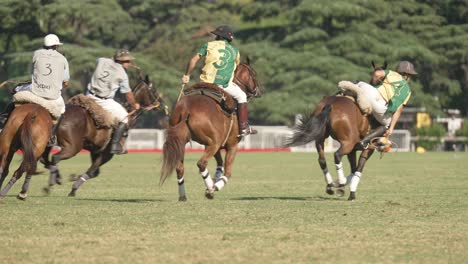 Pato-Rider-Alcance-La-Pelota-En-El-Suelo---Juego-Ecuestre-A-Caballo