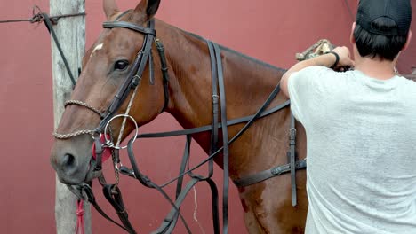 Toma-De-Primer-Plano-Que-Captura-A-Un-Ecuestre-Profesional-Montando-Su-Hermoso-Caballo,-Equipando-Accesorios-Y-Equipos-De-Protección-En-El-Establo-Antes-Del-Partido-De-Pato-Horseball,-Deporte-Nacional-De-Argentina