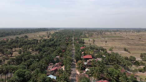 Carretera-Rural-Atraviesa-Bosques-De-Palmeras-Y-Campos-De-Arroz-En-Camboya