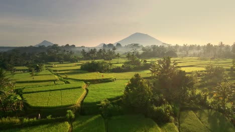 Wunderschöne-Malerische-Aussicht-Auf-Das-Reisfeld-Im-Hintergrund,-Majestätischer-Vulkan-Gunung-Agung-Oder-Berg-Agung,-Im-Distrikt-Karangasem,-Bali,-Indonesien