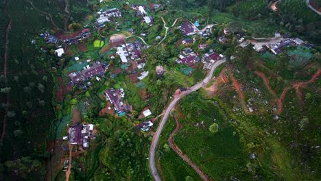 Traditional-Tea-Plantation-Farm-in-Haputale,-Sri-Lanka---Aerial-Bird's-Eye-View
