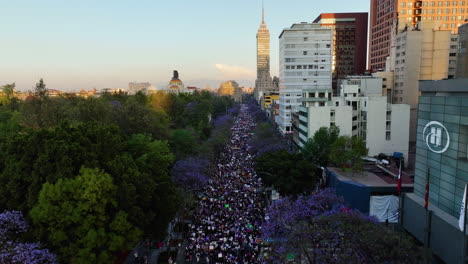 Drone-shot-of-protest-march-on-International-Women's-Day,-sunny-evening-in-Mexico-city