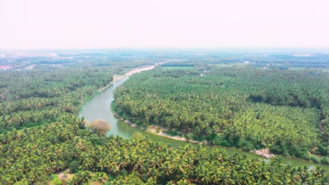 Luftbildkamera-Bewegt-Sich-Rückwärts,-Extremer-Weitwinkelblick,-Hohe-Kokospalmen-Am-Ufer-Der-Backwaters-Von-Kerala