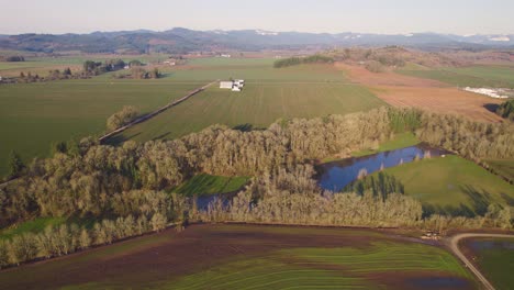 Aerial-descending-view-over-farm-land,-field,-river,-and-dense-tall-trees