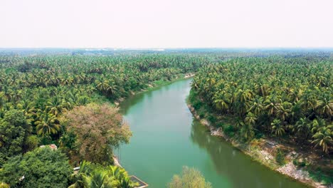 Aerial-Camera-moving-backward-to-an-extremely-wide-angle,-Aerial-View-River-with-beautiful-palm-tree-forest,-Ecosystem,-and-Healthy-environment-background-concept