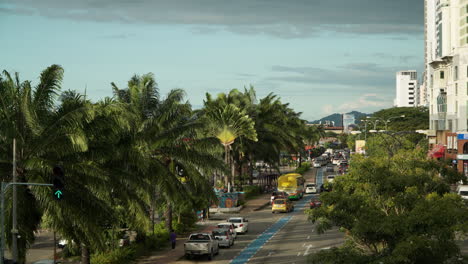 High-Angle-view-of-Kota-Kinabalu-City-Life-on-Sunny-Day,-Street-with-Tropical-Palms-along-Road-and-People-Crossing