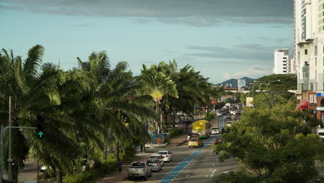 Blick-Aus-Der-Vogelperspektive-Auf-Das-Stadtleben-Von-Kota-Kinabalu-An-Einem-Sonnigen-Tag,-Straße-Mit-Tropischen-Palmen-Entlang-Der-Straße-Und-Menschen-Beim-Überqueren