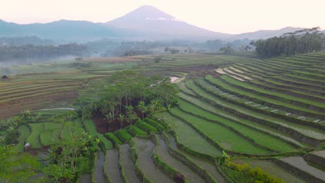 Aerial-view-of-beautiful-terraced-rice-field-with-mountain-on-the-background