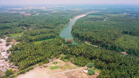 Landscape-view-of-Sharavati-River-with-palm-trees-on-the-both-sides