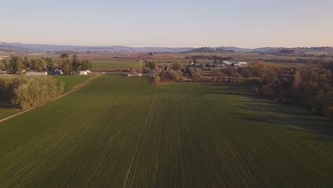 Aerial-view-of-perfect-farm-land-crop-rows-and-neighboring-houses