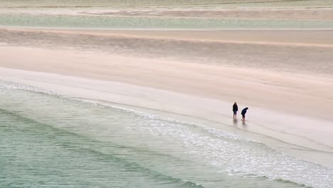 A-couple-play-with-their-dog-on-Luskentyre-beach