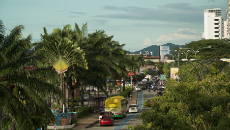 Vida-De-La-Ciudad-De-Kota-Kinabalu,-Camino-Con-Exuberantes-Palmeras-Frondosas-A-Lo-Largo-Del-Camino-Y-Vista-Elevada-Del-Tráfico-De-Automóviles-Al-Atardecer