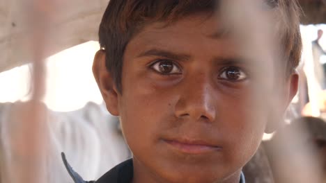 Junger-Pakistanischer-Junge-Blickt-Feierlich-Direkt-In-Die-Kamera-Im-Fluthilfelager