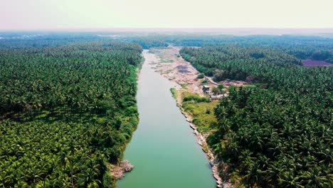 Kokospalmen-Säuberlich-Aufgereiht-Am-Ufer-Des-Kerala-Flusses,-Indien,-Der-Klare-Himmel-Spiegelt-Sich-Im-Flusswasser,-Luftkamera-Bewegt-Sich-Rückwärts-Zum-Palmenwald-Und-Blick-Auf-Den-See