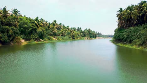 Aerial-view-of-Long-River-among-palm-trees-in-Kerala,-India