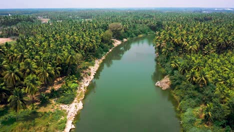 Morning-Landscape-from-Kumarakom-backwaters-with-coconut-tree-and-reflection-in-the-water,-Kerala,-aerial-camera-moving-forward-to-the-palm-forest-and-lake-view