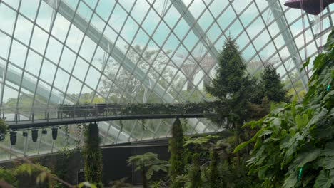 Traveling-walking-inside-Cloud-forest-Gardens-by-the-Bay-Singapore