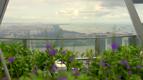 Blumenansicht-Von-Singapur-Bei-Singapur-Meerblick-Von-Der-Dachlandschaft-Des-Capitaspring-Sky-Garden