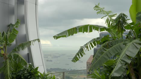 Singapur-Meerblick-Von-Der-Dachlandschaft-Des-Capitaspring-Sky-Garden-Aus