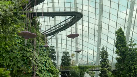 Blick-Nach-Unten-Auf-Die-Cloud-Forest-Gardens-An-Der-Bay-Singapore-Plattform-Bridge