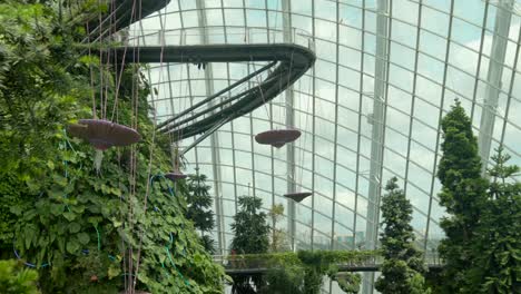 Down-view-of-Cloud-forest-Gardens-by-the-Bay-Singapore-plattform-bridge