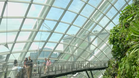 All-level-shot-tilt-at-Cloud-forest-Gardens-by-the-Bay-Singapore